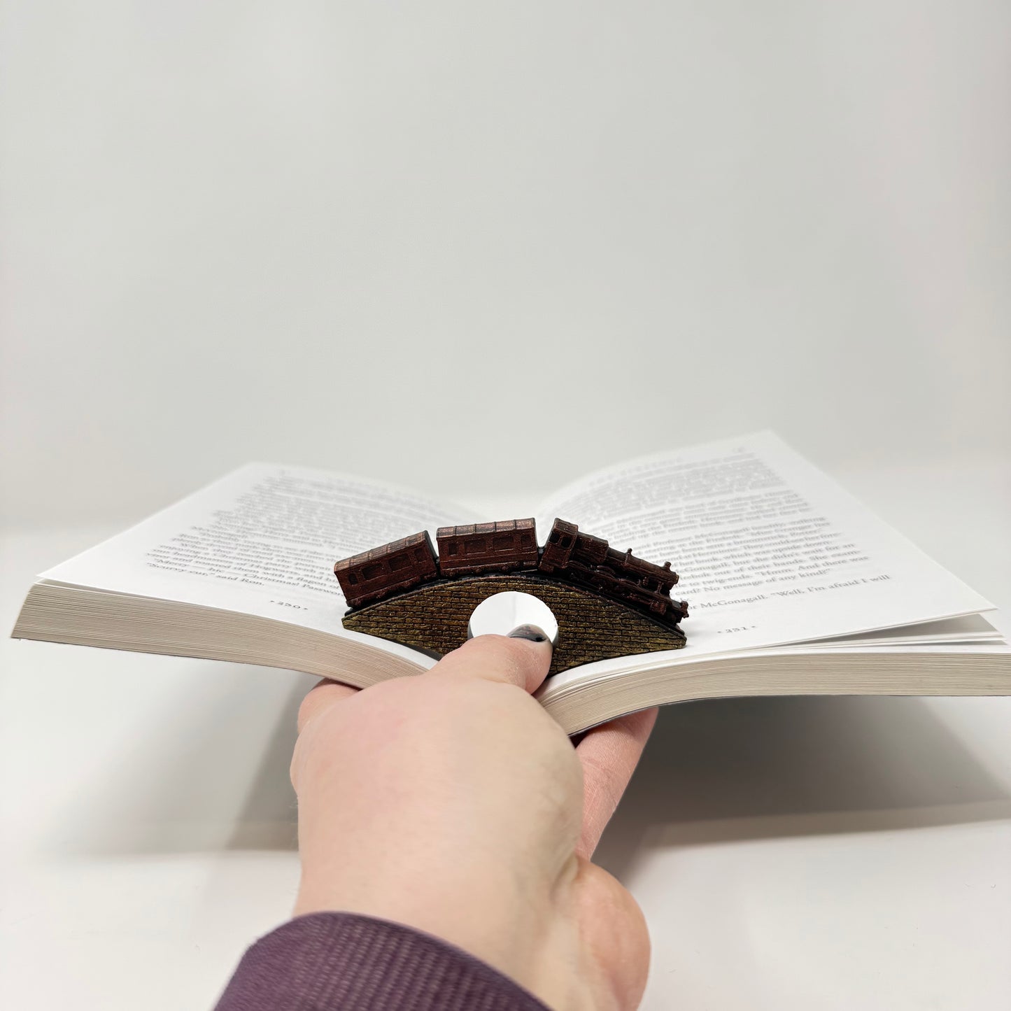 Fantasy Train Page Holder
