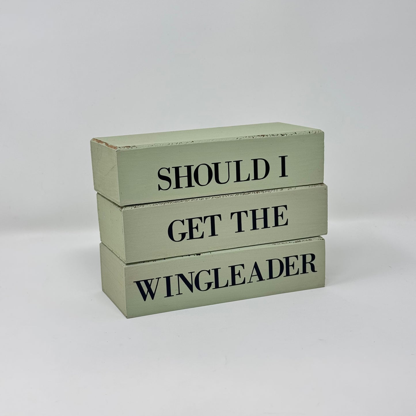 Bookish Blocks, Fourth Wing Inspired - Rustic Bundle of Blocks