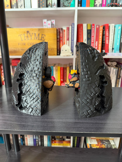 Princess Cat Book Nook