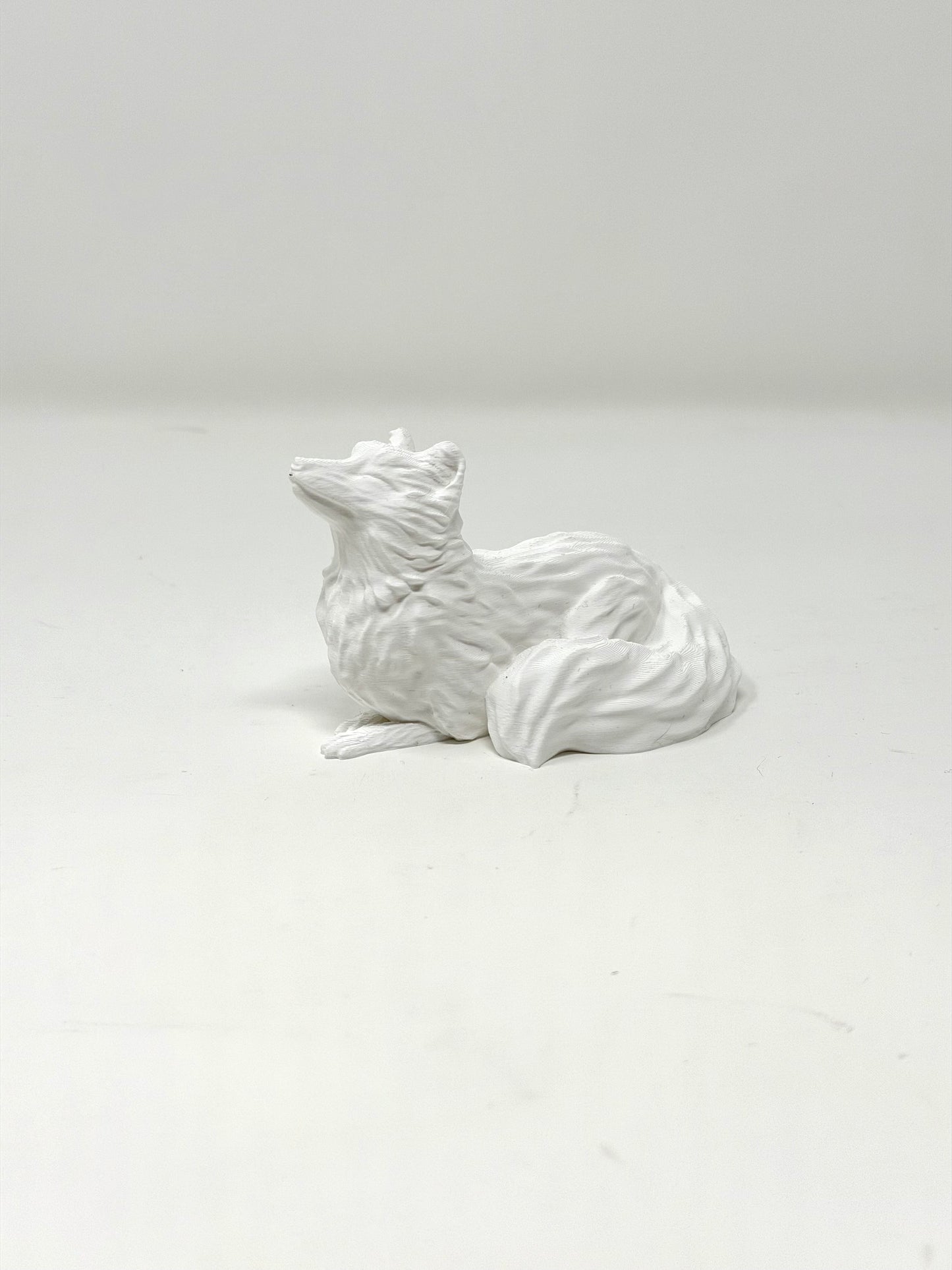 Fox Shelf Buddy