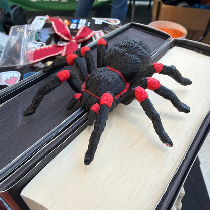 Spider Spine Hugger | Bookshelf Decor