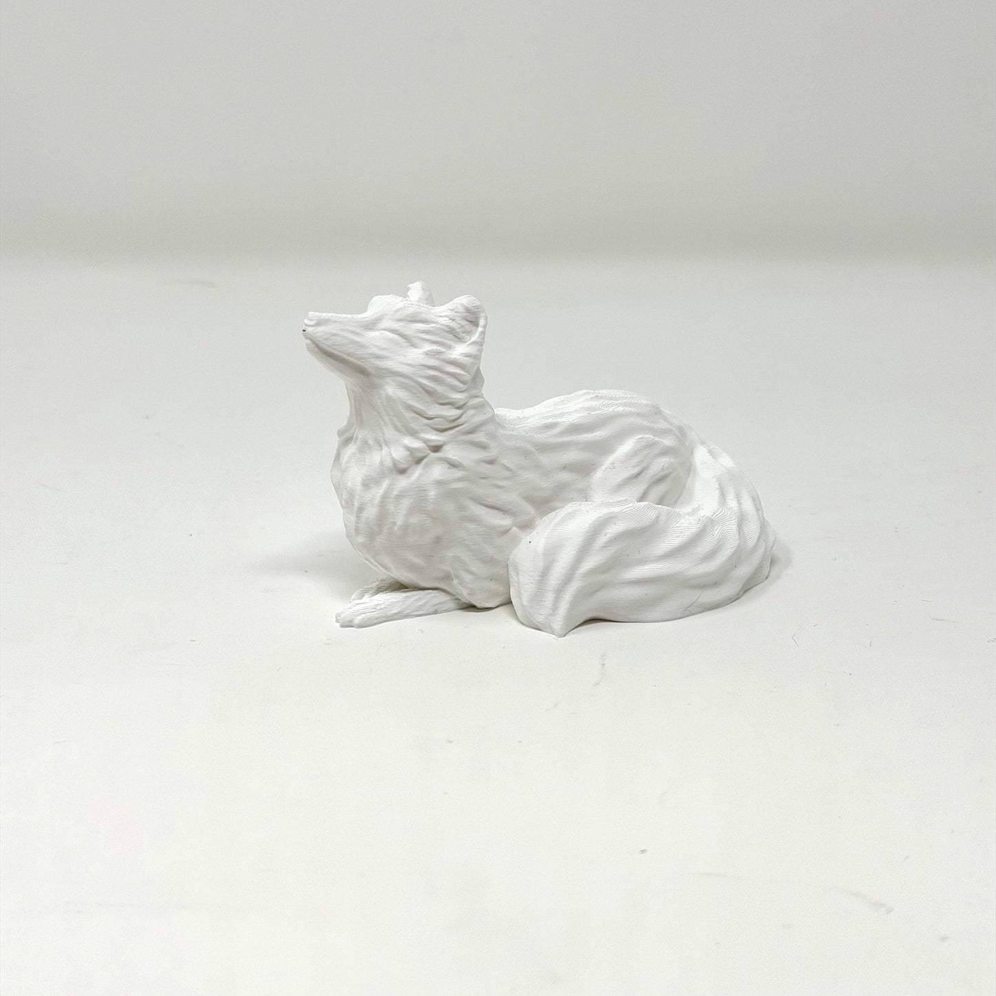 Arctic Fox with Butterfly