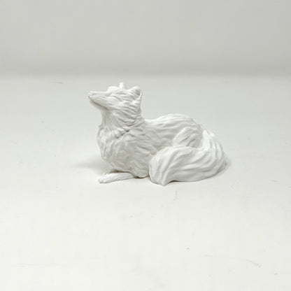 Arctic Fox with Butterfly