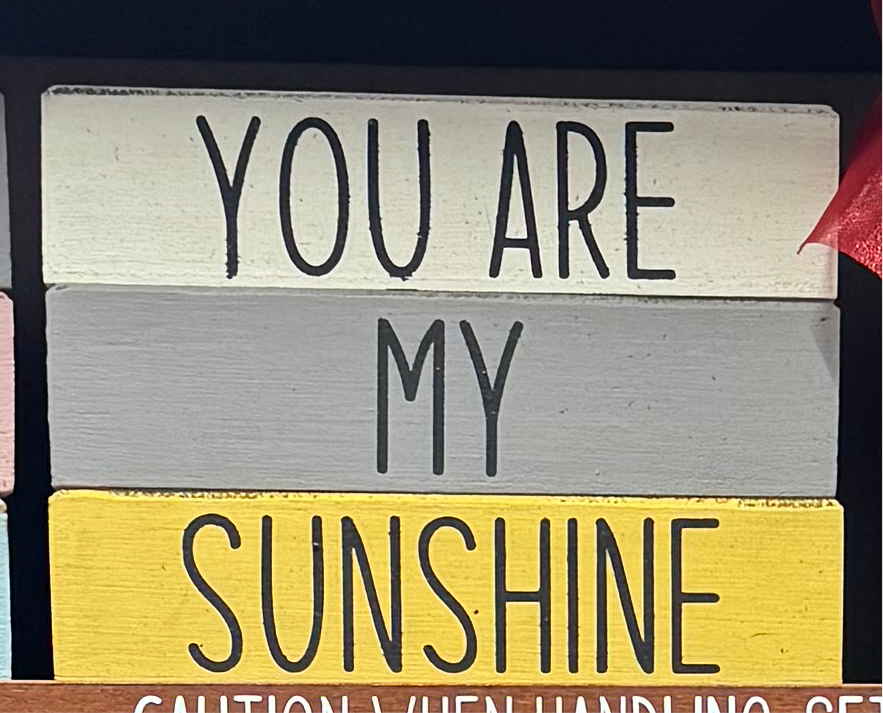 You Are My Sunshine - Rustic Bundle of Blocks