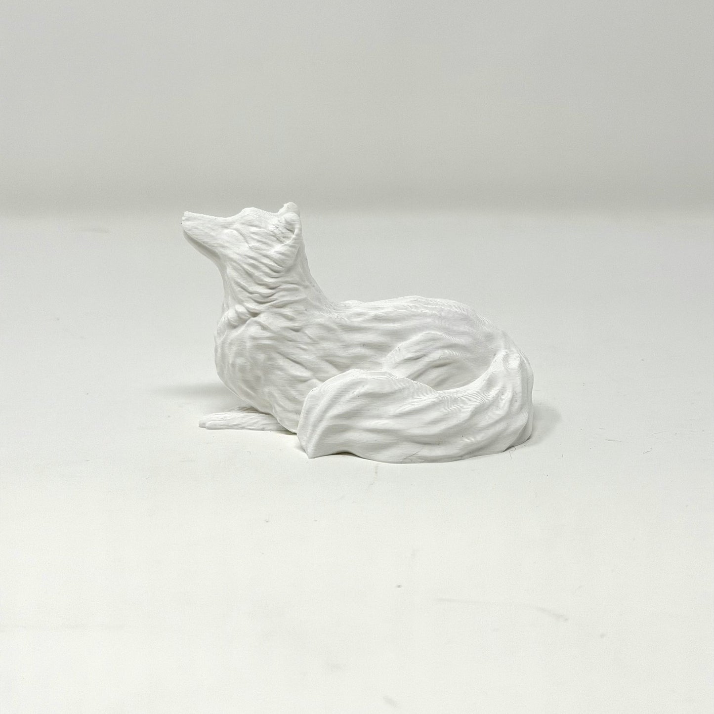 Arctic Fox with Butterfly